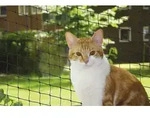 Katzenschutznetz Schwarz Gr&ouml;&szlig;e M 4 X 3 M Balkon-/fensternetz - Nobby