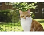 Katzenschutznetz Schwarz Gr&ouml;&szlig;e S 2 X 3 M Balkon-/fensternetz - Nobby