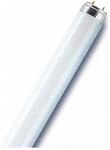 Leuchtstoffr&ouml;hre Osram Lumilux T8 36w 1 M 4000k