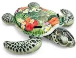 Schildkr&ouml;te Reiten - Intex