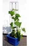 Gurkenturm 120 Cm Hoch Spalier Rankhilfe Rankgitter - Bellissa