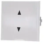 Gira Wippe Pfeilsymbole Sys55 Rws (861603)