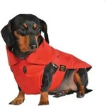 Fashion Dog - Hundemantel Speziell F&uuml;r Dackel - Rot - 36 Cm