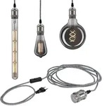 Paulmann 79771 Pendelleuchte Neordic Eldar Inkl. Eurostecker E27 Max. 1x20w