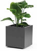 Pflanzkübel greener kebe 40 cm anthrazit