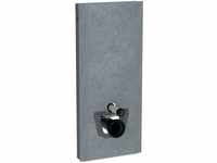 Geberit Monolith Sanitärmodul für Wand-WC, 114cm, Wasseranschluss hinten mittig,