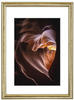 Phoenix Fotorahmen aus Holz, golden, 30 x 40 cm - Hama