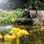 Esotec - Wasserspeier Frosch + Solar-teichpumpe Wasserspiel Gartenfigur 101650