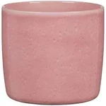 Scheurich - Solido, Blumentopf Aus Keramik, Farbe: Rosea, 21,2 Cm Durchmesser, 19,3