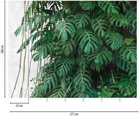 A.s.creations - A.s. Creation Fototapete Livingwalls The Wall 382411 Ein Motiv Pro