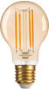 Brennenstuhl LED-Leuchtmittel eek: f (a - g) 4.9 w Gold