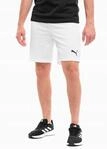 Puma Teamrise Herrenshorts - Sporttraining (gr&ouml;&szlig;e S)