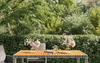 Gartentisch,Terrassentisch 150x90x75 cm Poly Rattan und Akazienholz Grau vidaXL