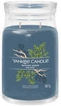 Yankee Candle Signature Gro&szlig;e Bayside Zedernholz-duftkerze Im Glas, 567 G