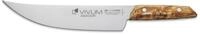 F.dick - F.dick Bbq Messer Asador Vivum Mit 22 Cm Klinge Mit Birkenholzgriff