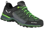 Salewa Mtn Trainer Lite GTX Men - Zustiegsschuhe - 7 - myrtle / ombre blue