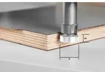 FESTOOL B&uuml;ndigfr&auml;ser HW 22 mm