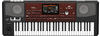 Korg Pa700 Oriental Entertainer Keyboard, 61 Tasten
