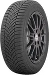 TOYO OBSERVE EWS1 205/55R16 91H BSW Winterreifen, Nasshaftung: B