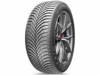 MAXXIS PREMITRA ALL SEASON AP3 175/65R14 86H PKW, Rollwiderstand: C,