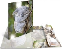 Herma Sammelmappe A4 Glossy Koala Polypropylen