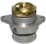 JP GROUP Wasserpumpe 1114101700 f&uuml;r SEAT VW VAG