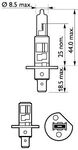 PHILIPS Gl&uuml;hlampe, Nebelscheinwerfer H1 LongLife EcoVision (2 Stk.)...