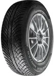 COOPER TIRES Winterreifen 205/55 R16 91H - Discoverer Winter s620417