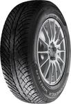 COOPER TIRES Winterreifen [Cooper] 225/50R18 99V - Discoverer Winter 591673 225/50