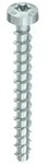P 5,0 x 50, Rundkopf, T-Drive, A2K, 200 St.