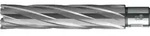 Kernbohrer HKE-L Weldon HM extralang, 33 x 110mm