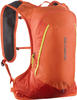 Salomon LC2186000-NS, Salomon Cross 12l Backpack Orange, Rucksäcke und Koffer -