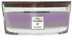 Amethyst Sky (Trilogy) 454g