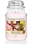 Fresh Cut Roses 623g