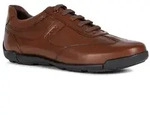 Geox Leder-Sneakers "Edgware" in Braun - 39