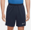 Nike Dri-FIT Academy - Fußballhose kurz - Herren - Blue - S