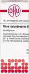 PZN-DE 01783731, DHU-Arzneimittel RHUS TOXICODENDRON D 12 Globuli 10 g, Grundpreis: