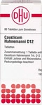 PZN-DE 02112163, DHU-Arzneimittel CAUSTICUM HAHNEMANNI D 12 Tabletten 80 St,