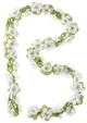Basil Blumengirlande Flower Garland