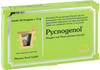 Pycnogenol Kiefernrindenextrakt Dragees