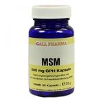 Msm 500 mg Gph Kapseln
