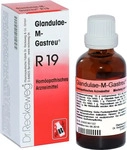 PZN-DE 07645332, Dr.RECKEWEG Glandulae M Gastreu R 19 Tropfen zum Einnehmen