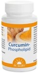 Dr. Jacob's Curcumin-Phospholipid aus Kurkuma-Extrakt