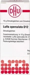 PZN-DE 02926463, DHU-Arzneimittel Luffa Operculata D12 Globuli