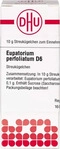 PZN-DE 02890179, DHU-Arzneimittel Eupatorium Perfoliatum D6 Globuli DHU