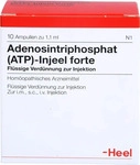 PZN-DE 01813478, Biologische Heilmittel Heel Adenosintriphosphat (ATP)-Injeel forte,
