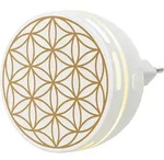 Aroma Duftstecker Easy