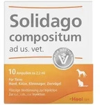 Solidago Compositum Ampullen ad usus veterin&auml;r