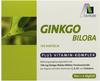 Ginkgo 100 mg Kapseln+b1+c+e