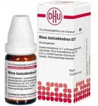 DHU Rhus Toxicodendron D12 Globuli